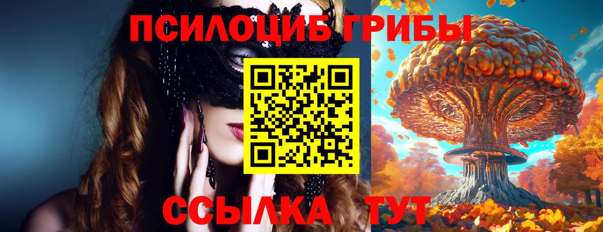 Узловая  Псилоцибиновые грибы мицелий  Вход с VPN 