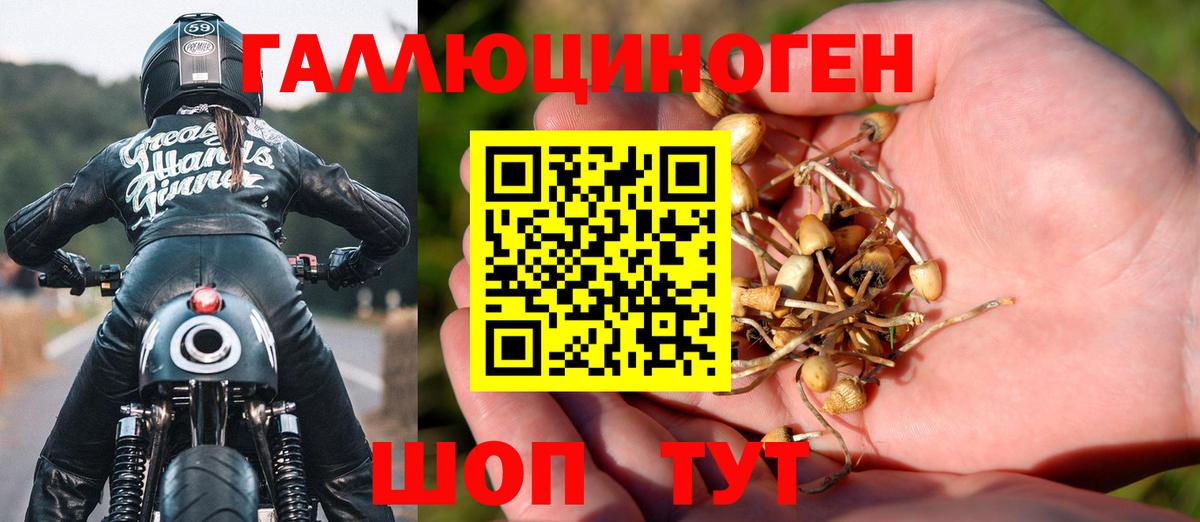 A-PVP Узловая